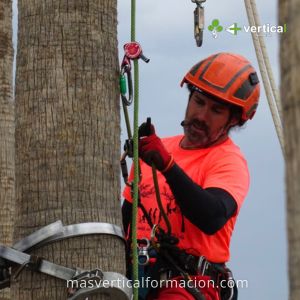 Curso de Trepa y Poda de Palmeras